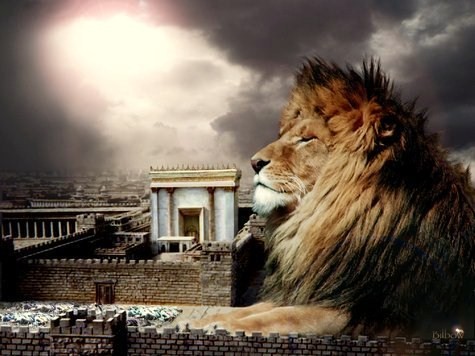 lion of judah watching jerusalem